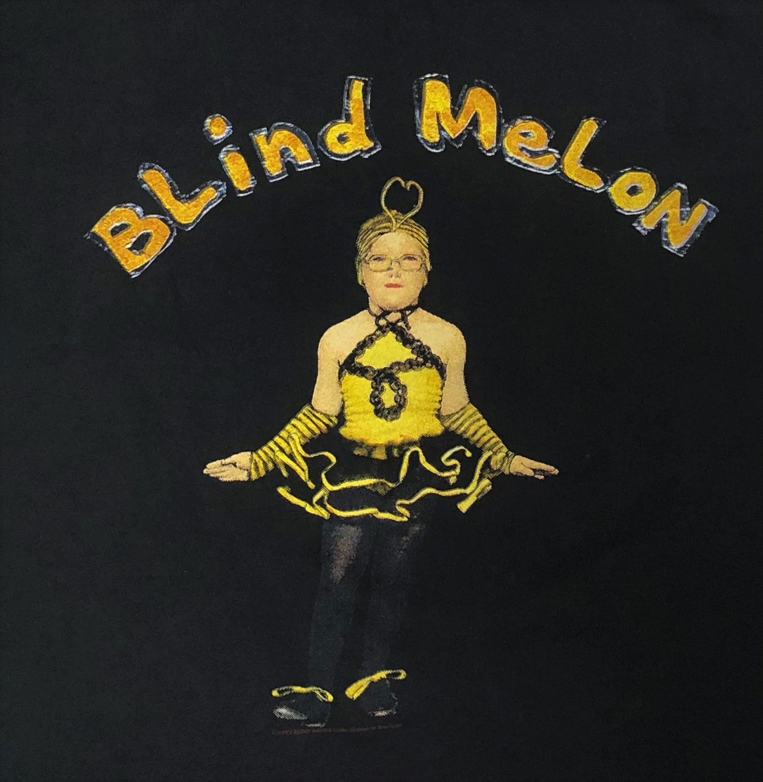 1992 BLIND MELON / CRAMMED IN A VAN TOUR / S/S TEE｜Tシャツ専門の ...